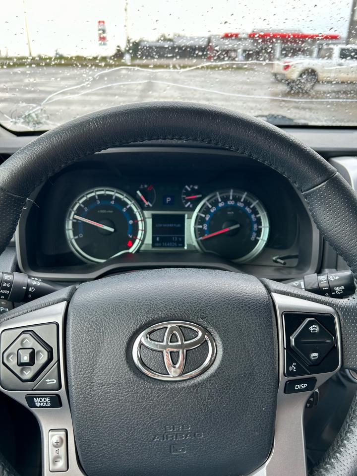 2019 Toyota 4Runner Sr5 Ltd Trd Prem - Photo #13