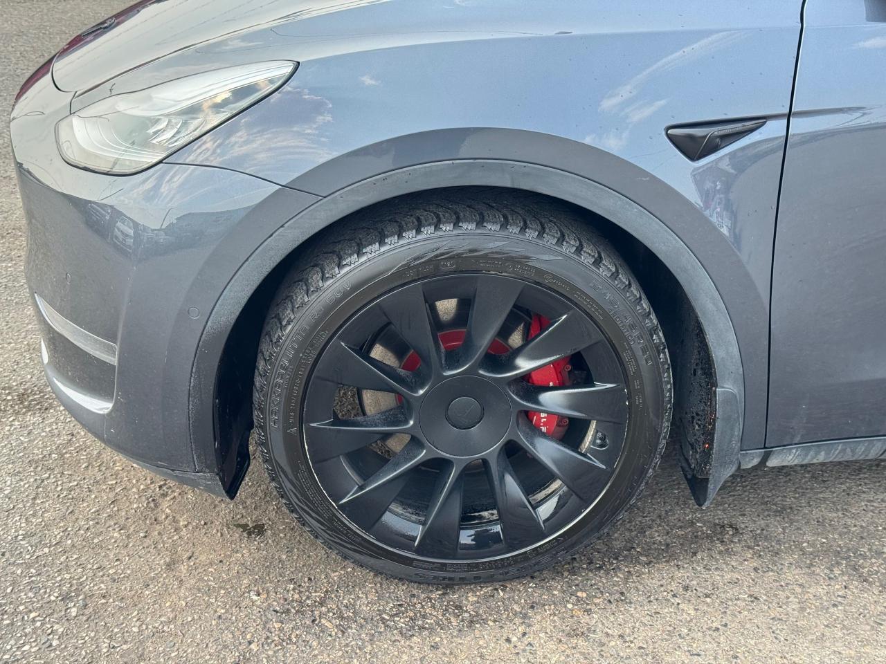 2021 Tesla Model Y LONG RANGE - Photo #9