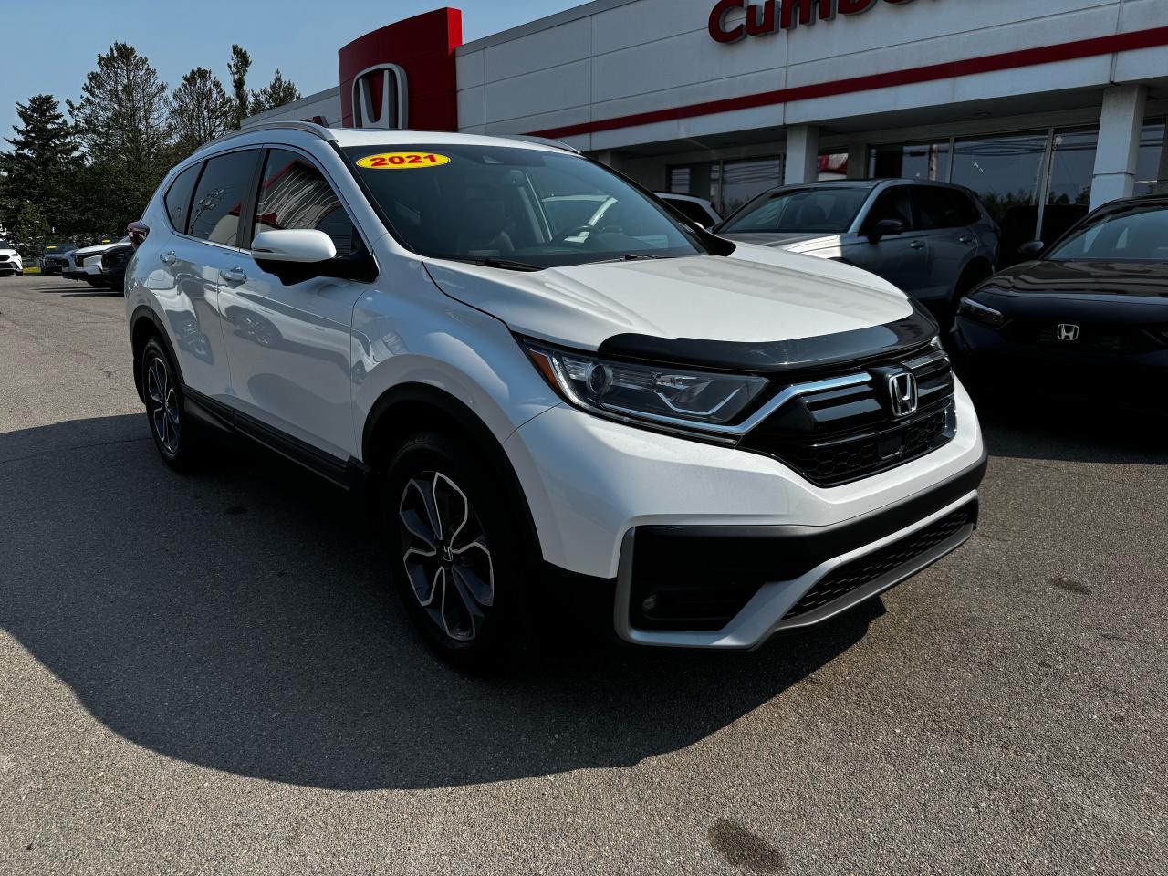 2021 Honda CR-V EX-L Photo1