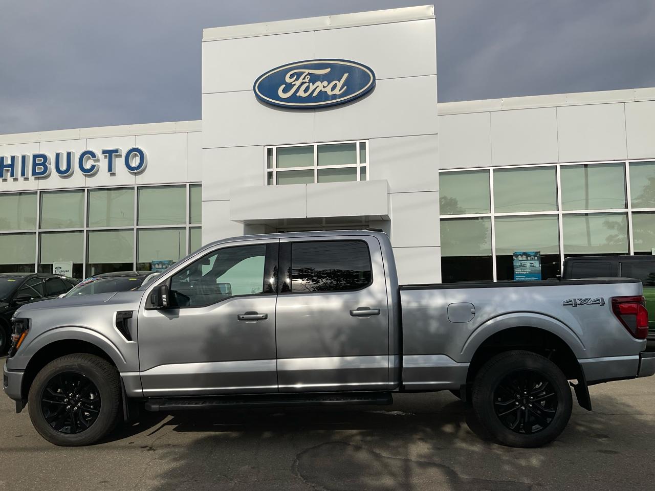 2025 Ford F-150 XLT Photo3