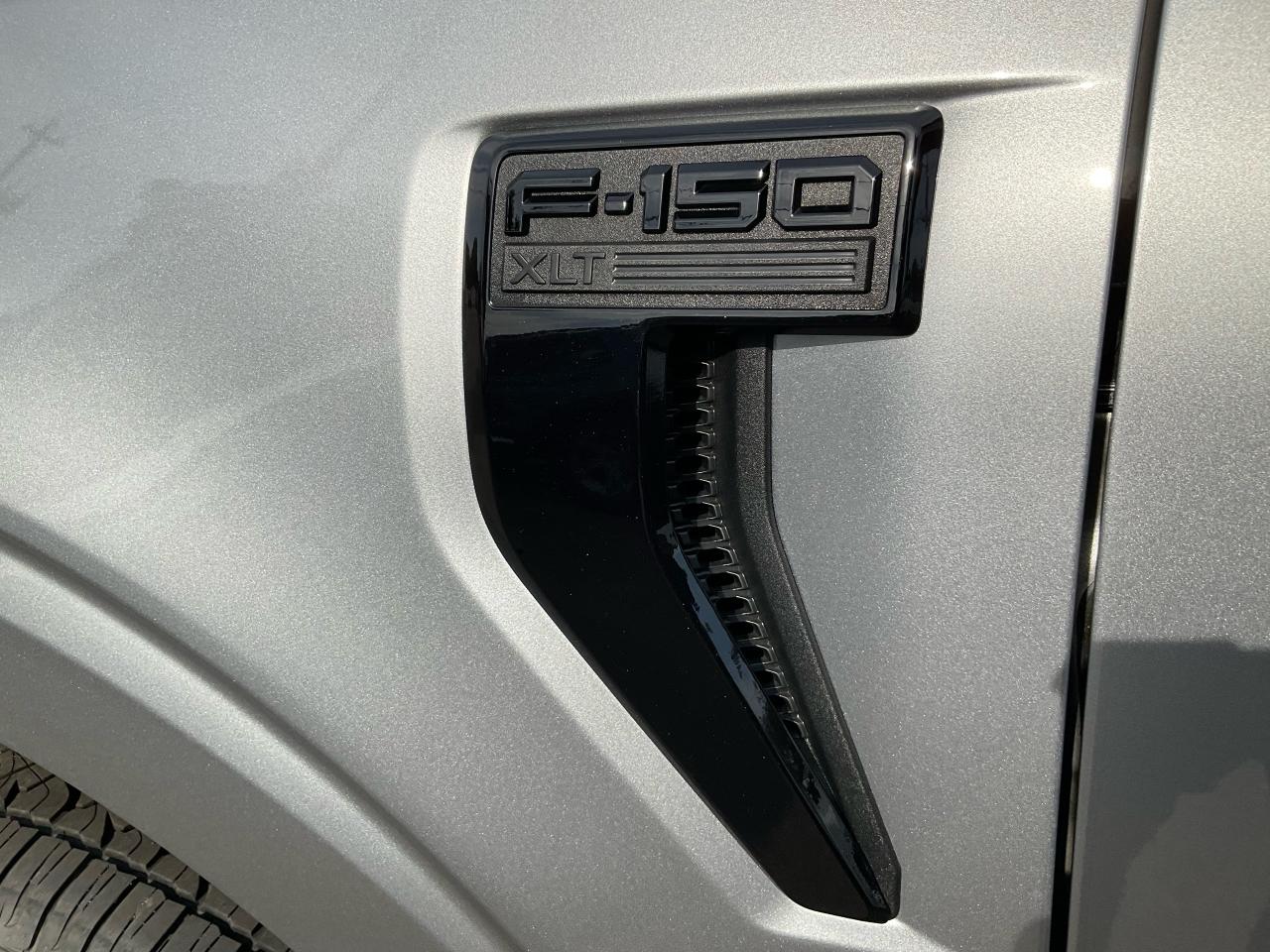 2025 Ford F-150 XLT Photo5