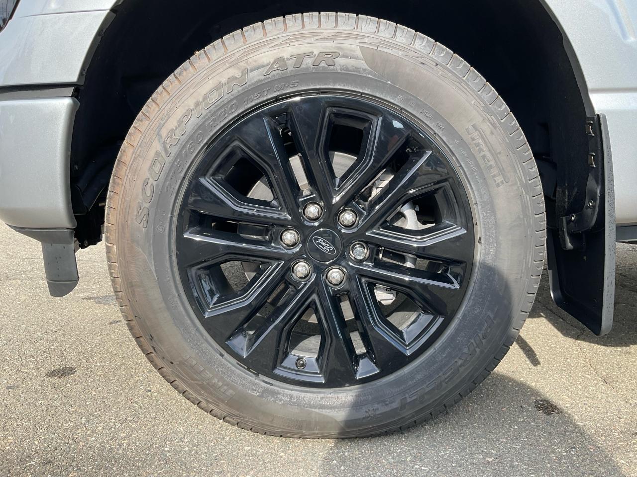 2025 Ford F-150 XLT Photo5