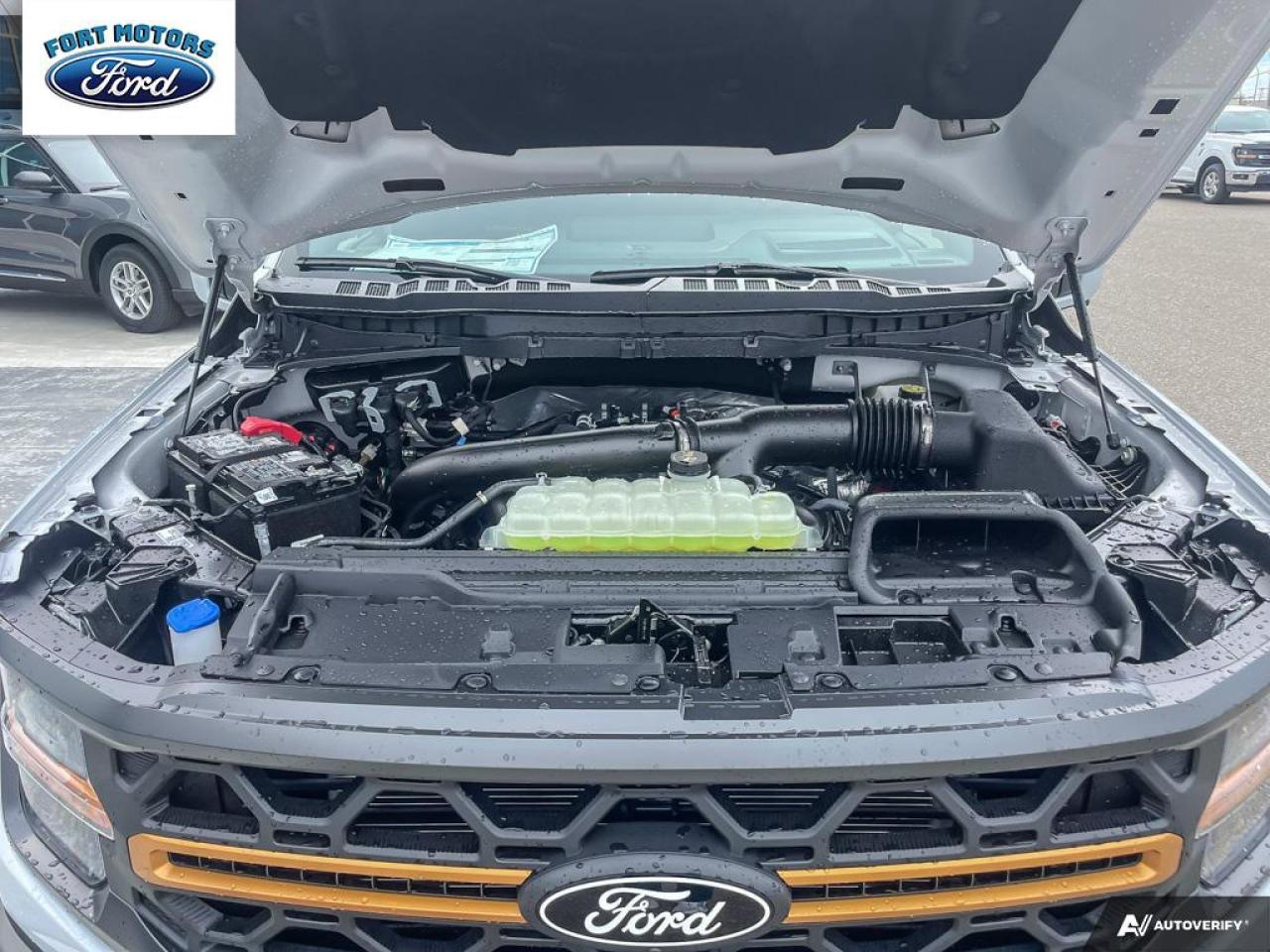 2025 Ford F-150 Tremor® Photo5
