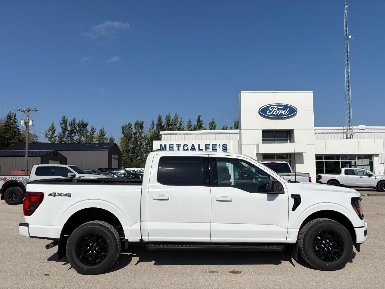 New 2025 Ford F-150 XLT 4WD SuperCrew 5.5' Box for sale in Treherne, MB