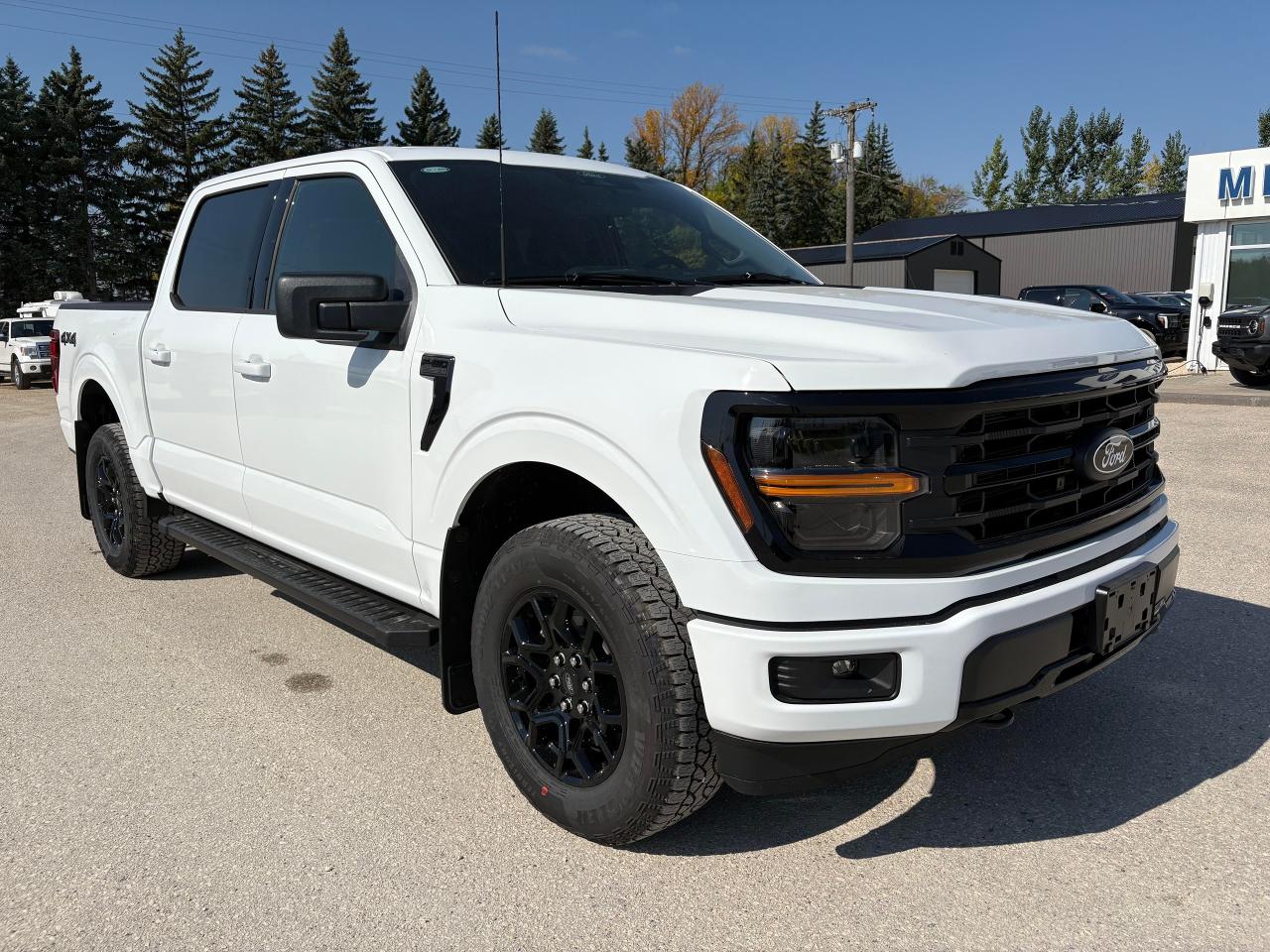 2025 Ford F-150 XLT 4WD SuperCrew 5.5' Box Photo3