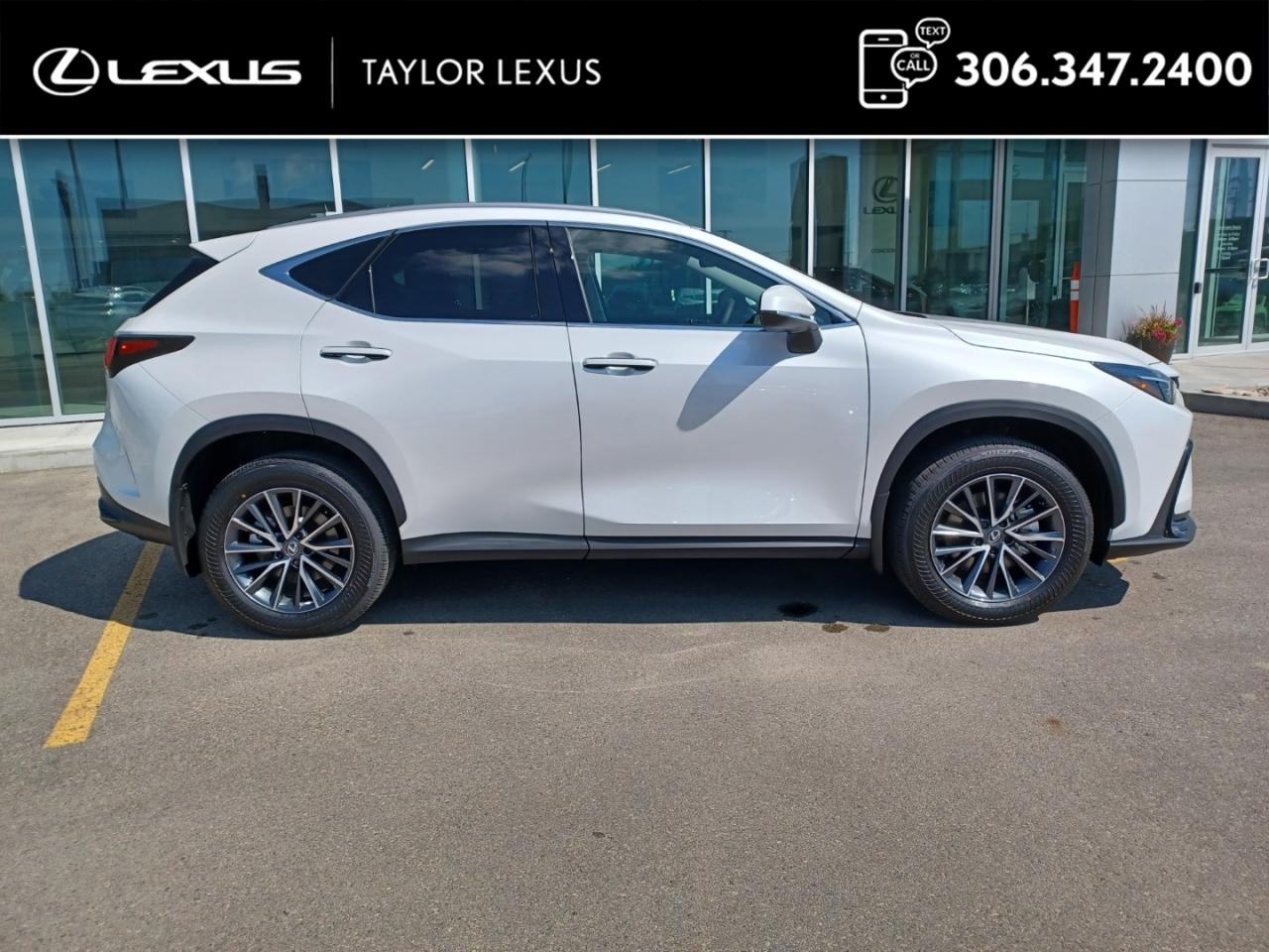 New 2025 Lexus NX 350h for sale in Regina, SK
