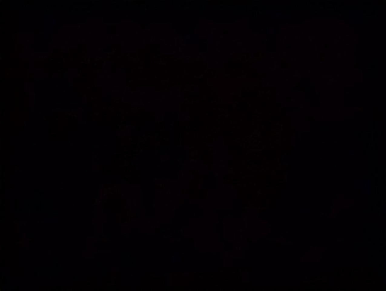12754704