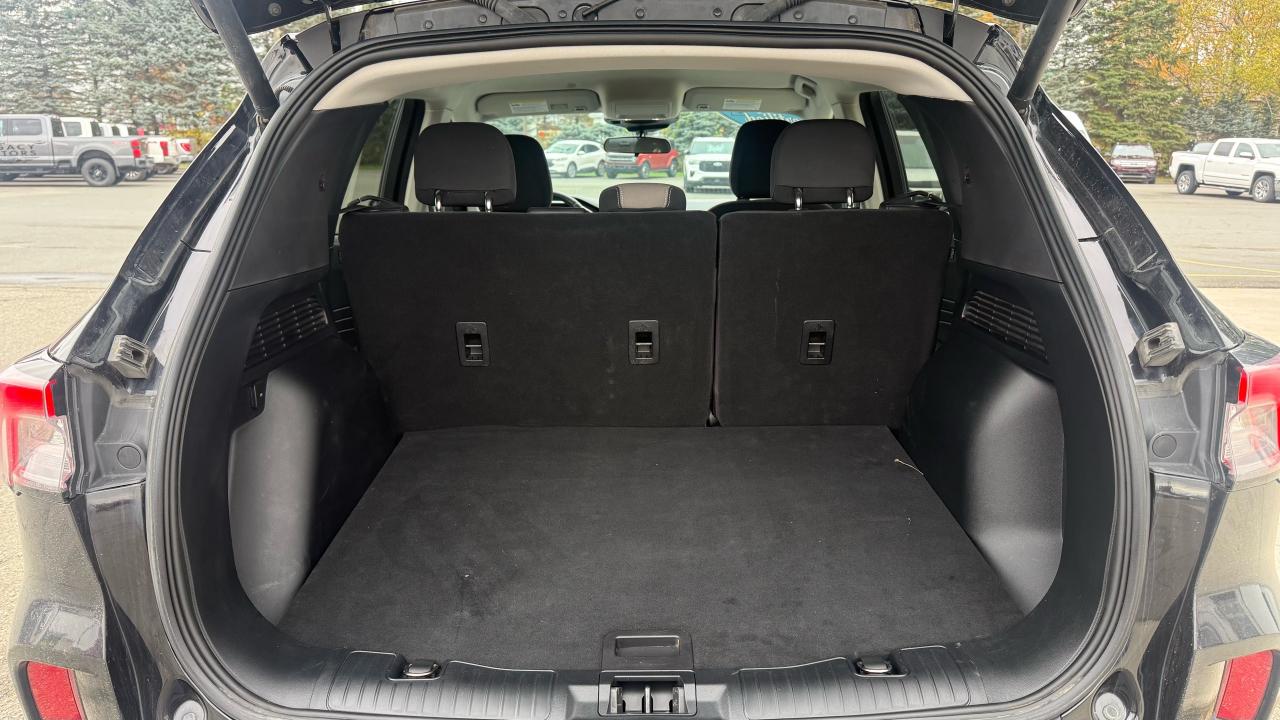 2021 Ford Escape  Photo5