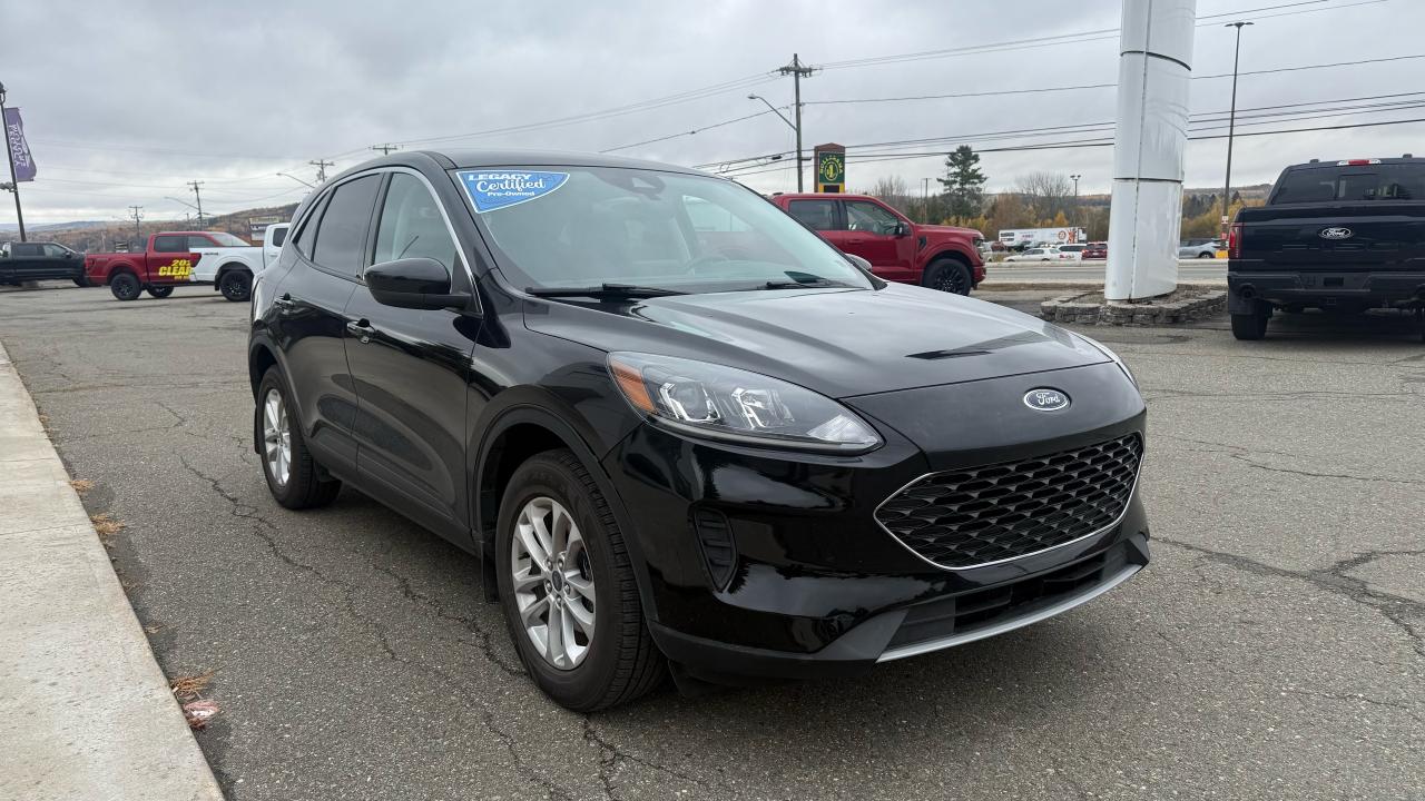 2021 Ford Escape  Photo