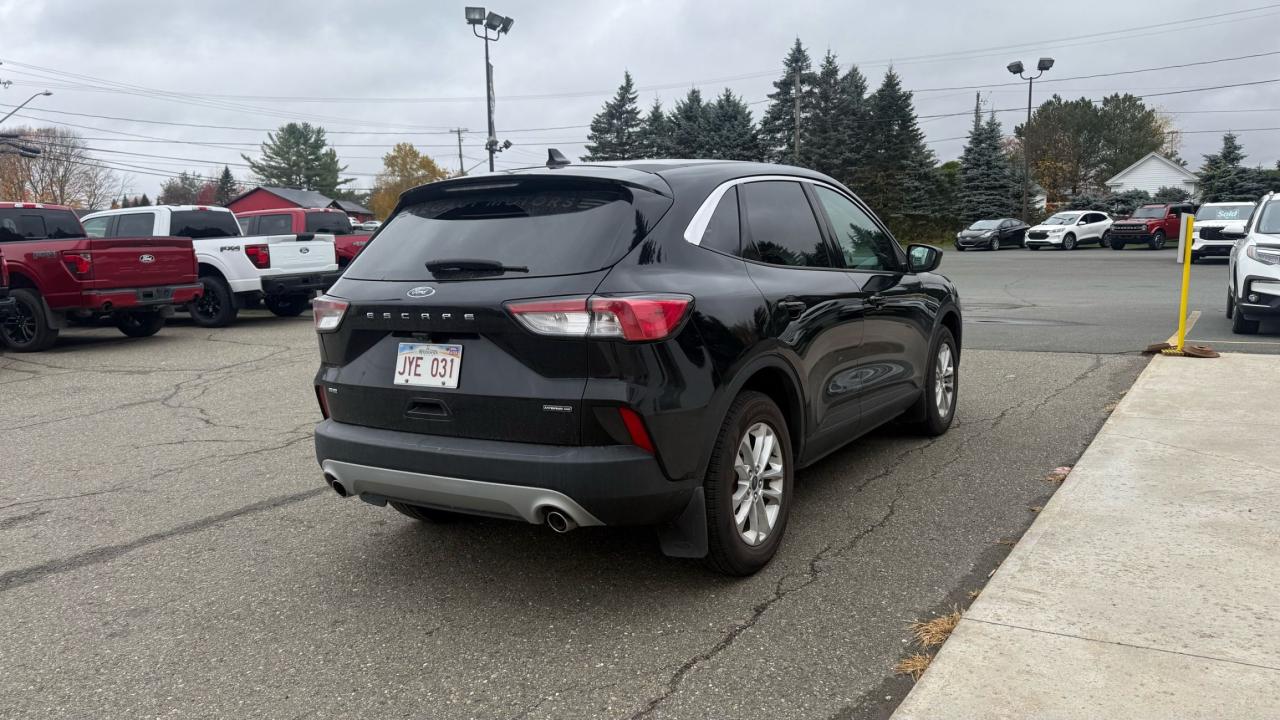 2021 Ford Escape  Photo