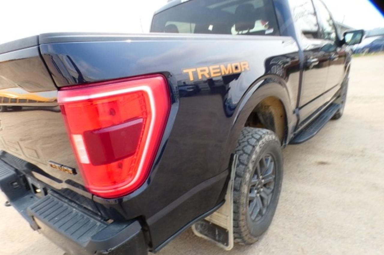 2023 Ford F-150 Tremor w/Htd L.wrap, pano S/R, NAV, BUC - Photo #50