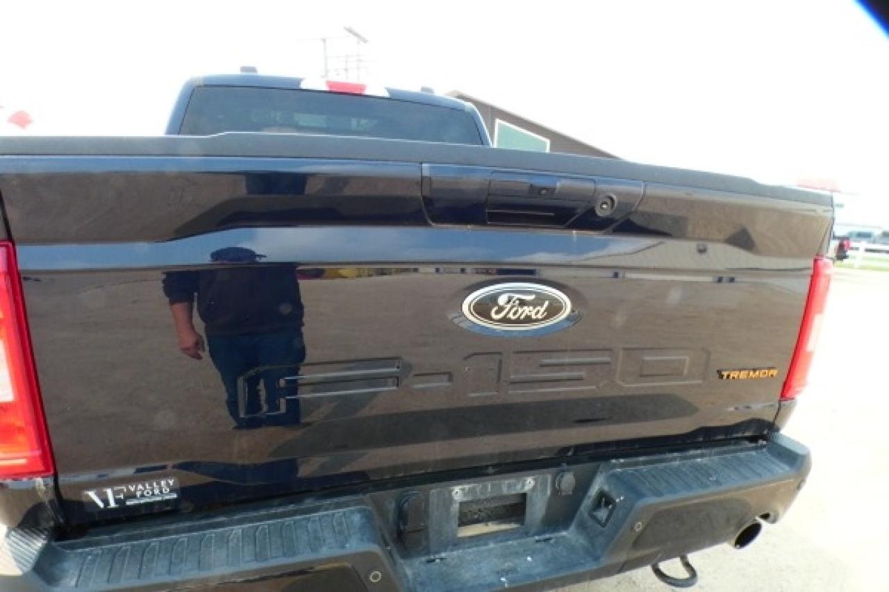 2023 Ford F-150 Tremor w/Htd L.wrap, pano S/R, NAV, BUC - Photo #52