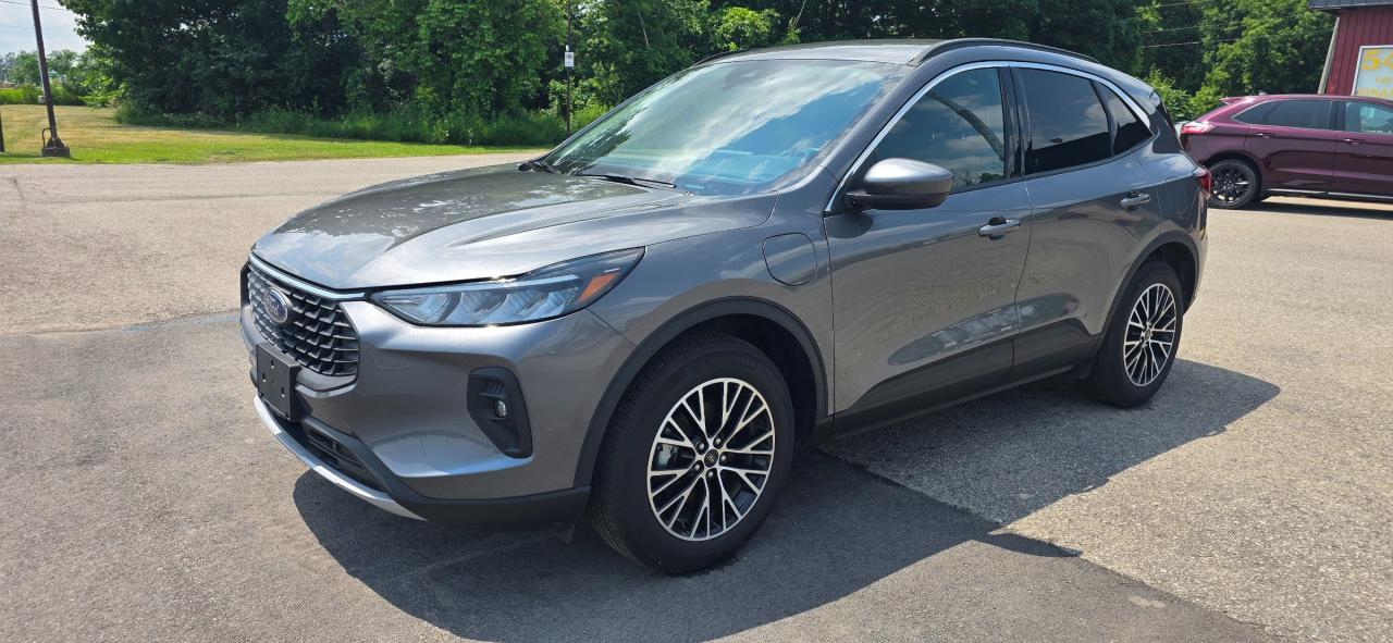 2024 Ford Escape PHEV Photo