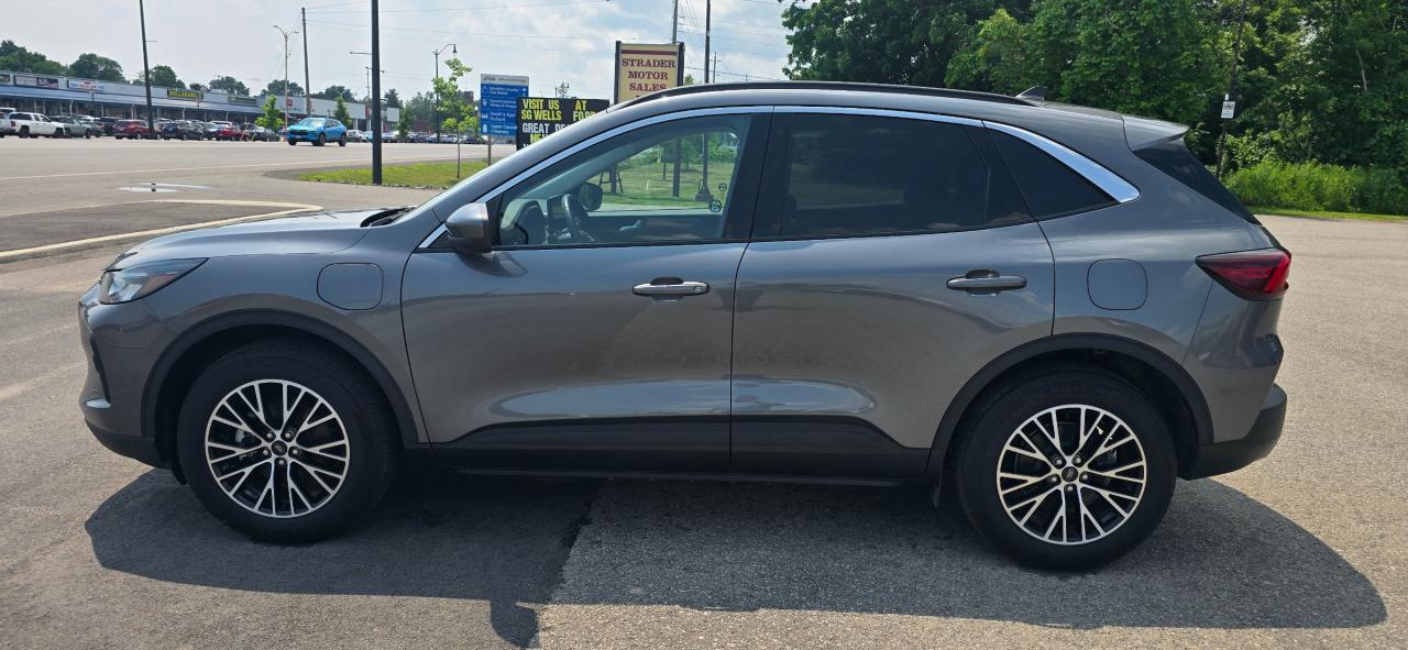 2024 Ford Escape PHEV Photo