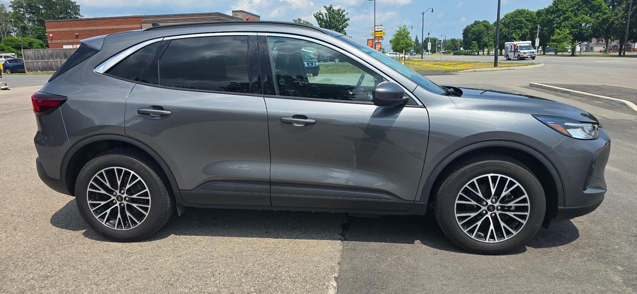 2024 Ford Escape PHEV Photo