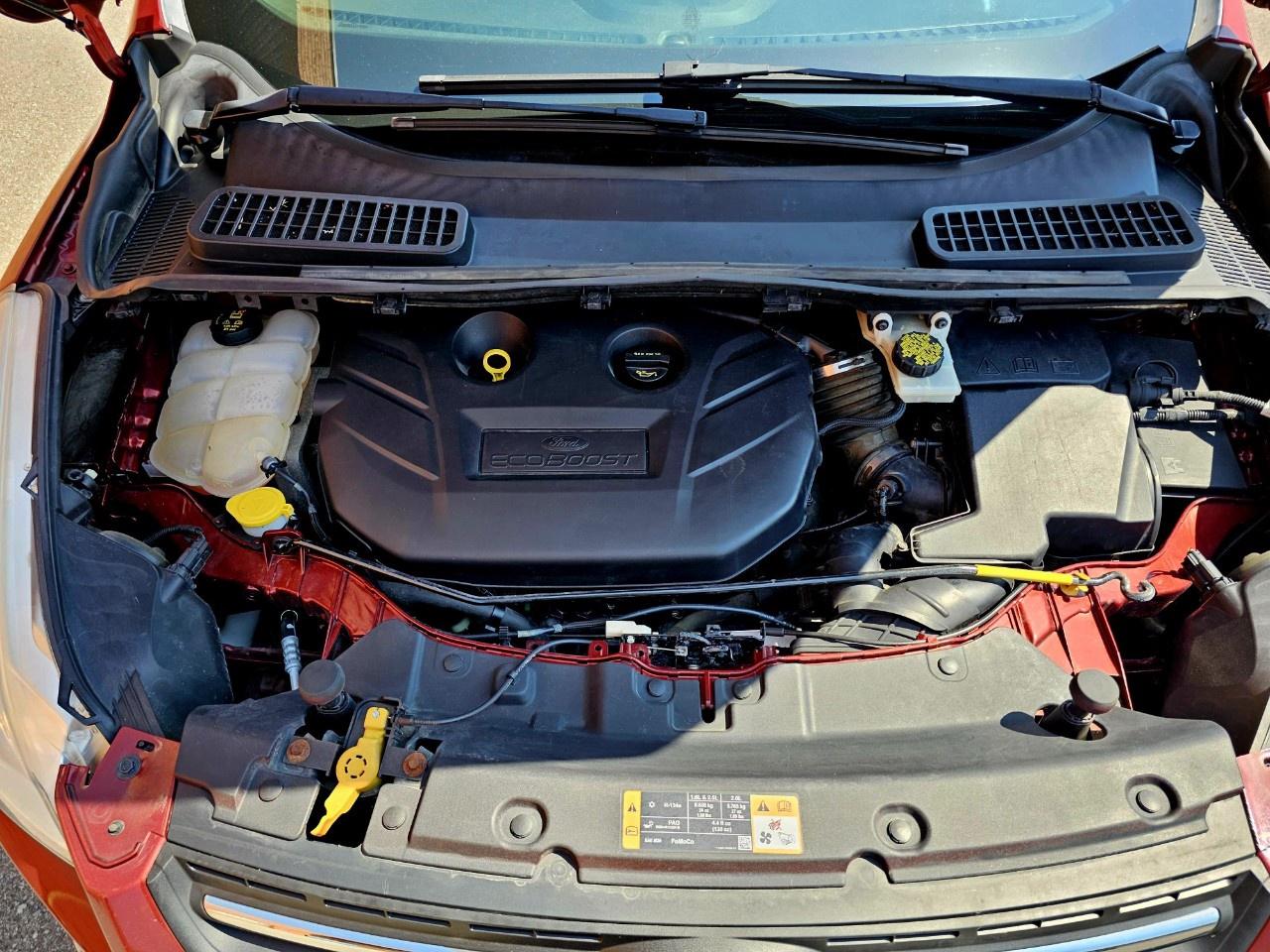 2015 Ford Escape FWD 4dr SE - Photo #13
