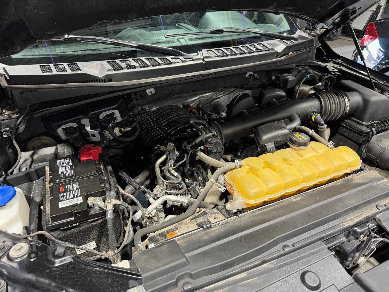 2019 Ford F-150 XLT 4WD SuperCrew 5.5' Box - Photo #18