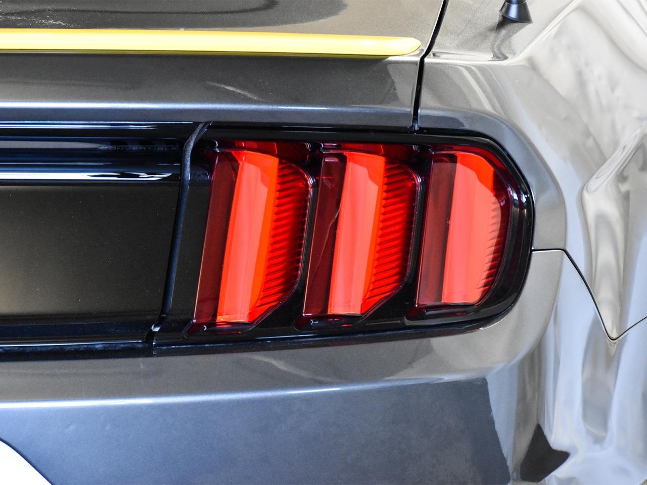 2015 Ford Mustang GT Premium / Ford Racing Exhaust & Suspension / - Photo #8