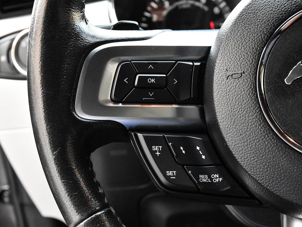 2015 Ford Mustang GT Premium / Ford Racing Upgrade / Convertible Photo