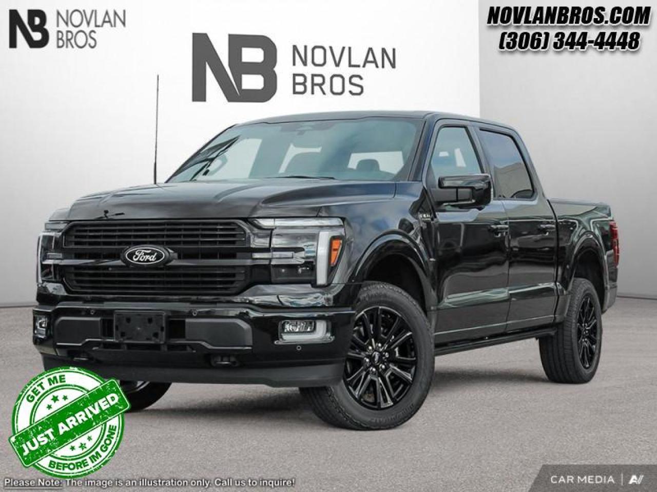 New 2025 Ford F-150 PLATINUM for sale in Paradise Hill, SK