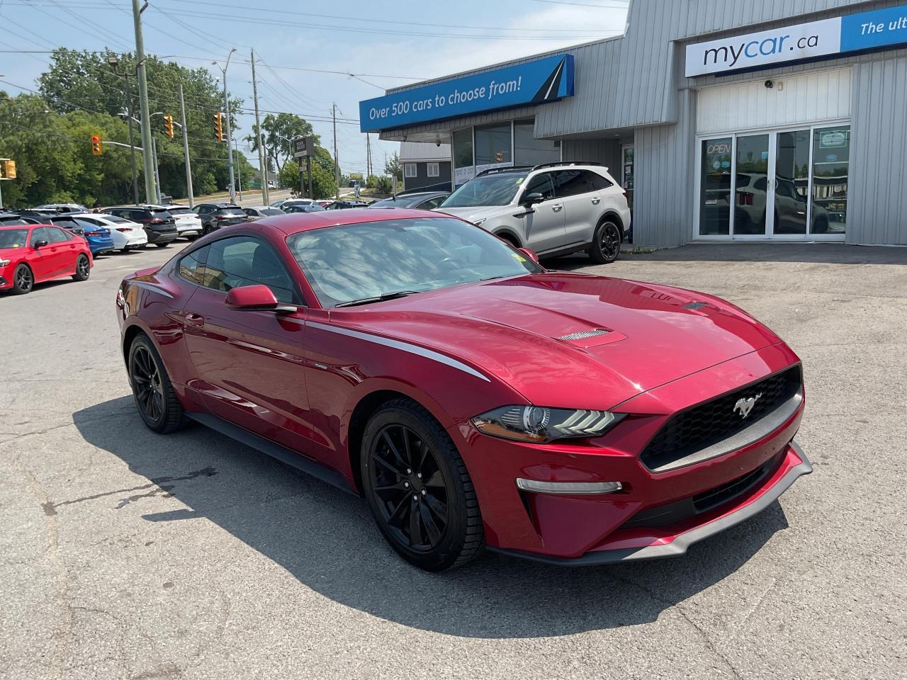 Used 2019 Ford Mustang  for sale in Kingston, ON