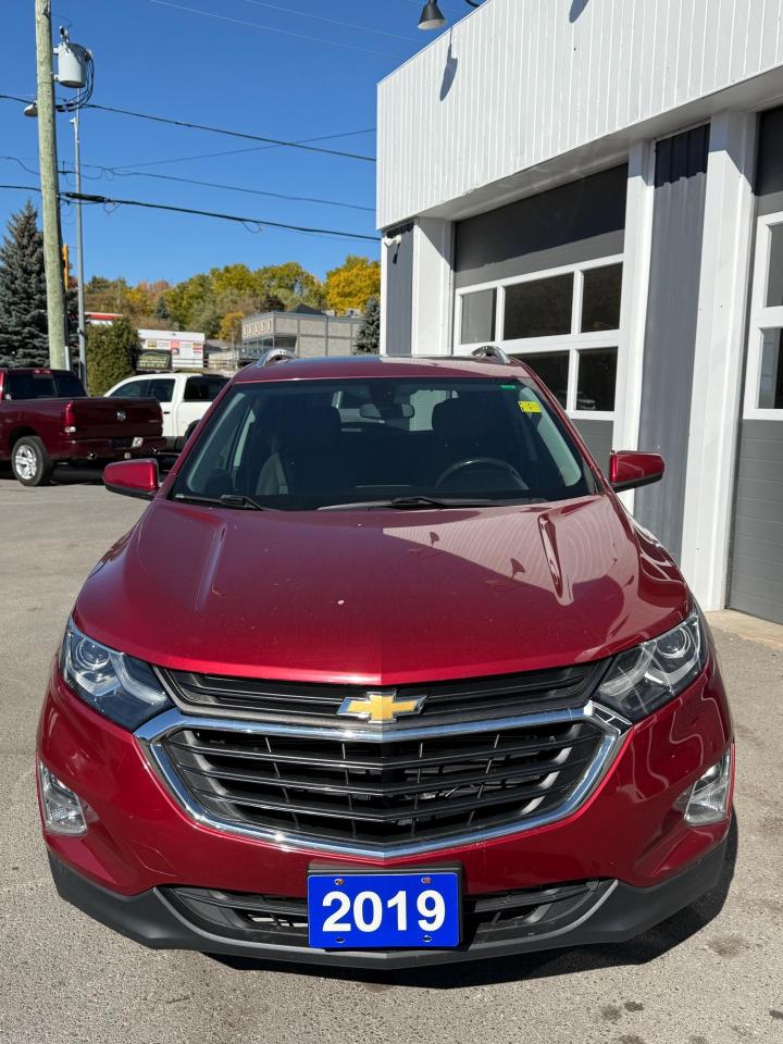 2019 Chevrolet Equinox 1LT Photo