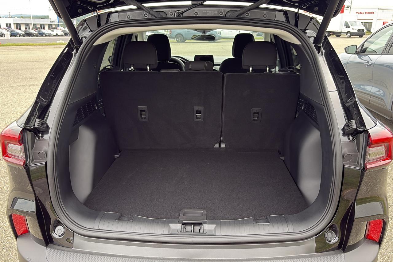2025 Ford Escape  Photo