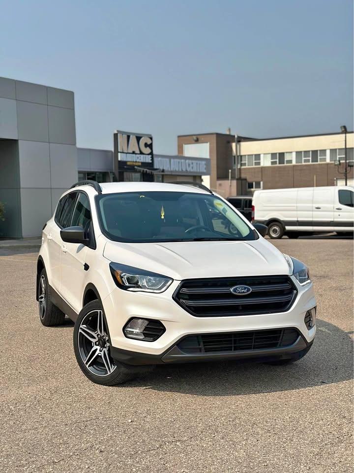 Used 2019 Ford Escape SEL for sale in Saskatoon, SK