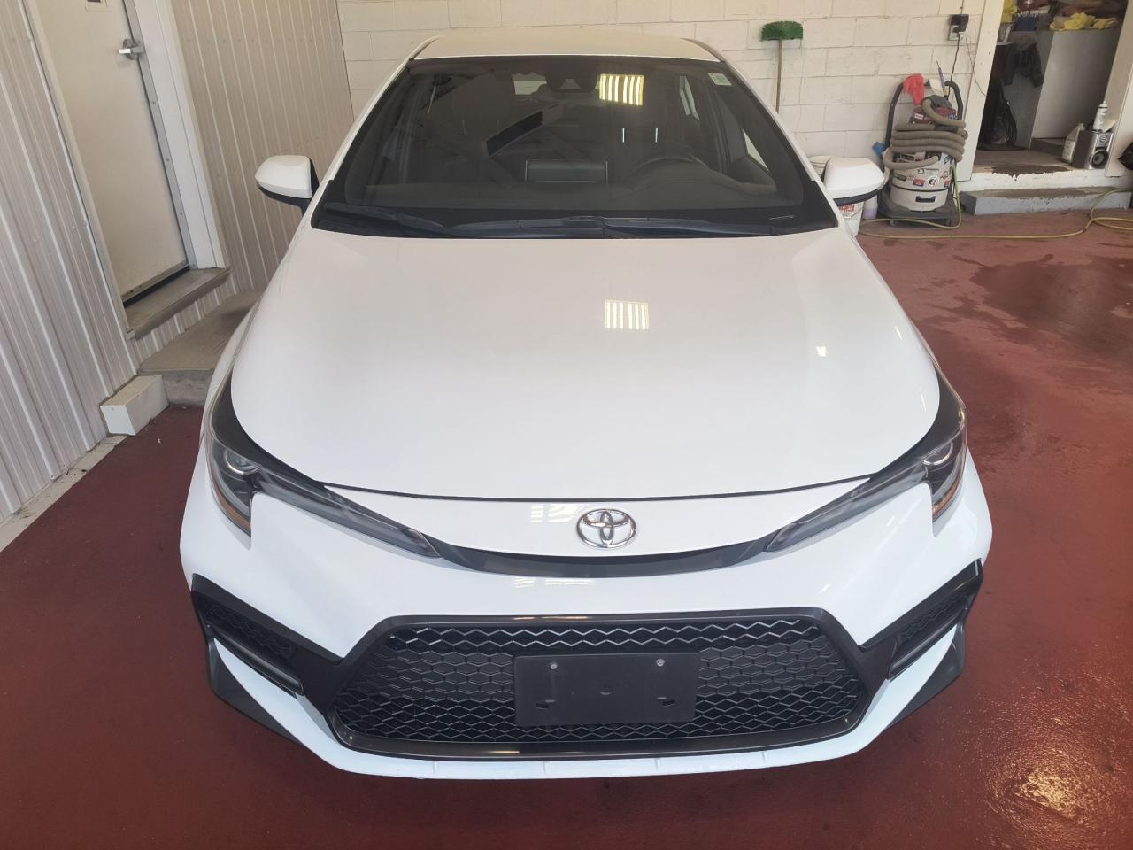 2020 Toyota Corolla SE Photo0