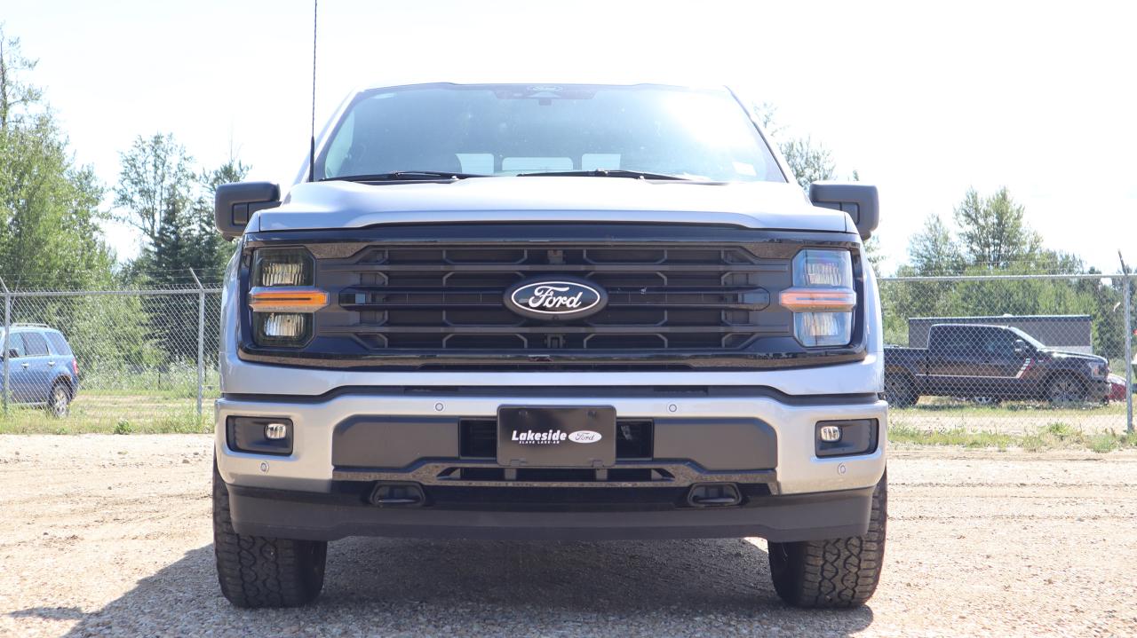 2025 Ford F-150 XLT Photo
