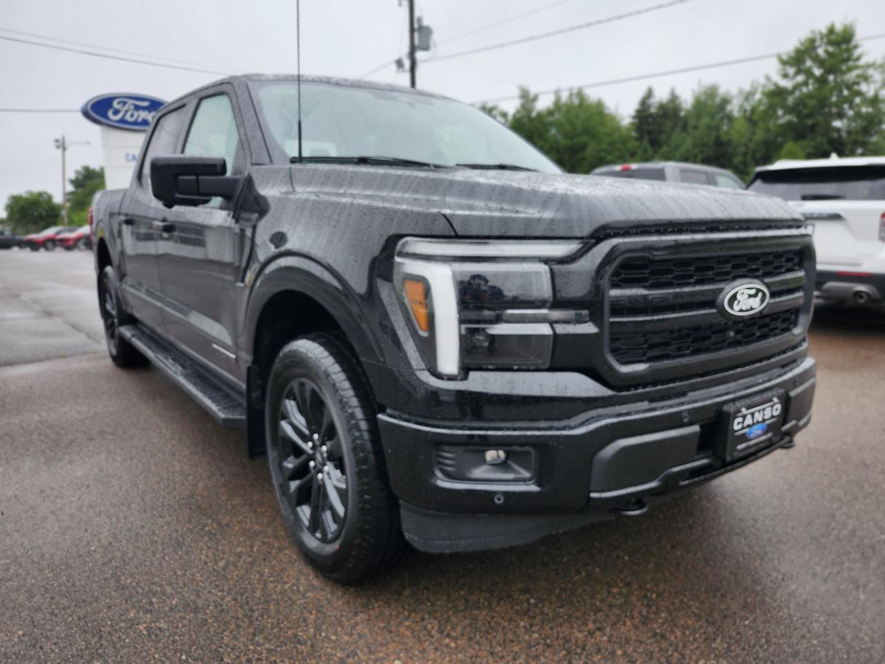 2025 Ford F-150 Lariat 4WD SuperCrew 5.5' Box Photo