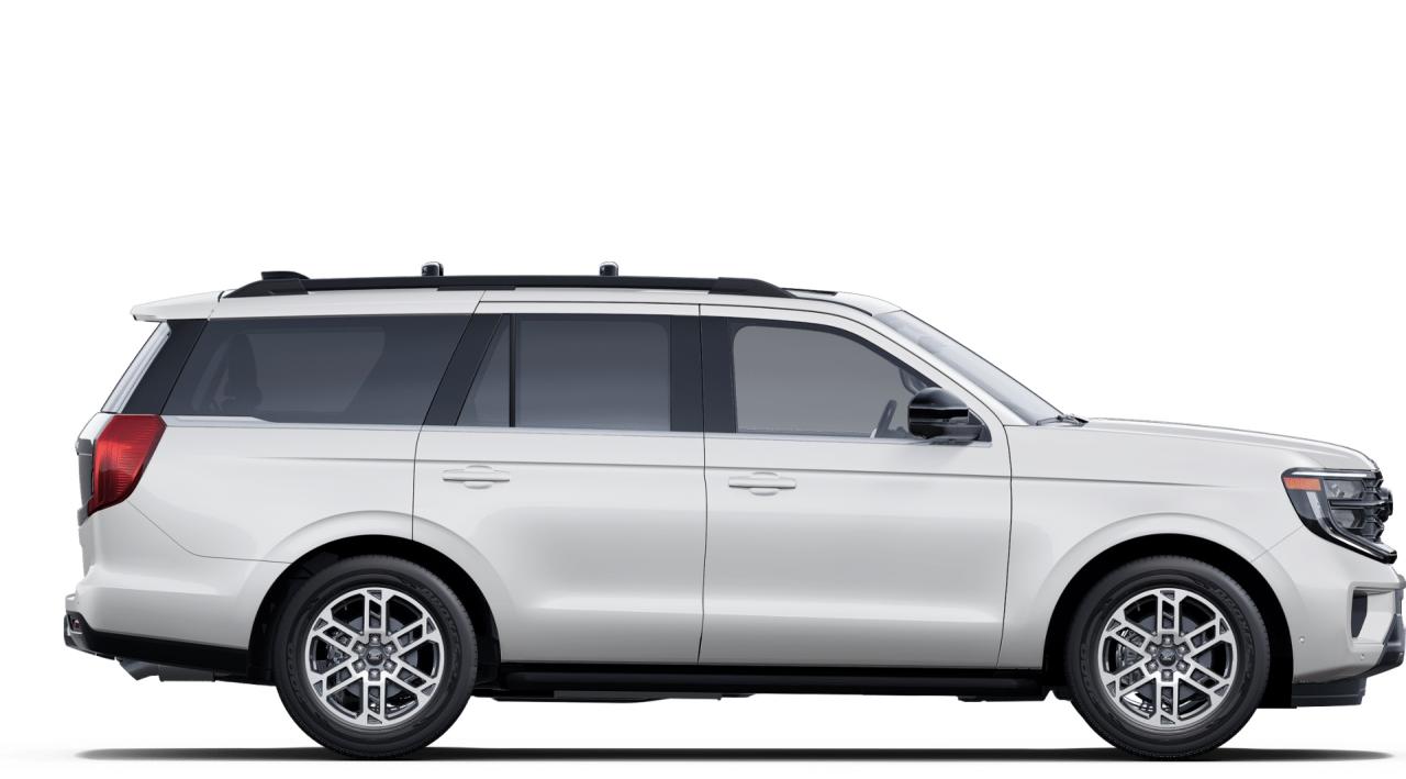 2025 Ford Expedition Active Photo5