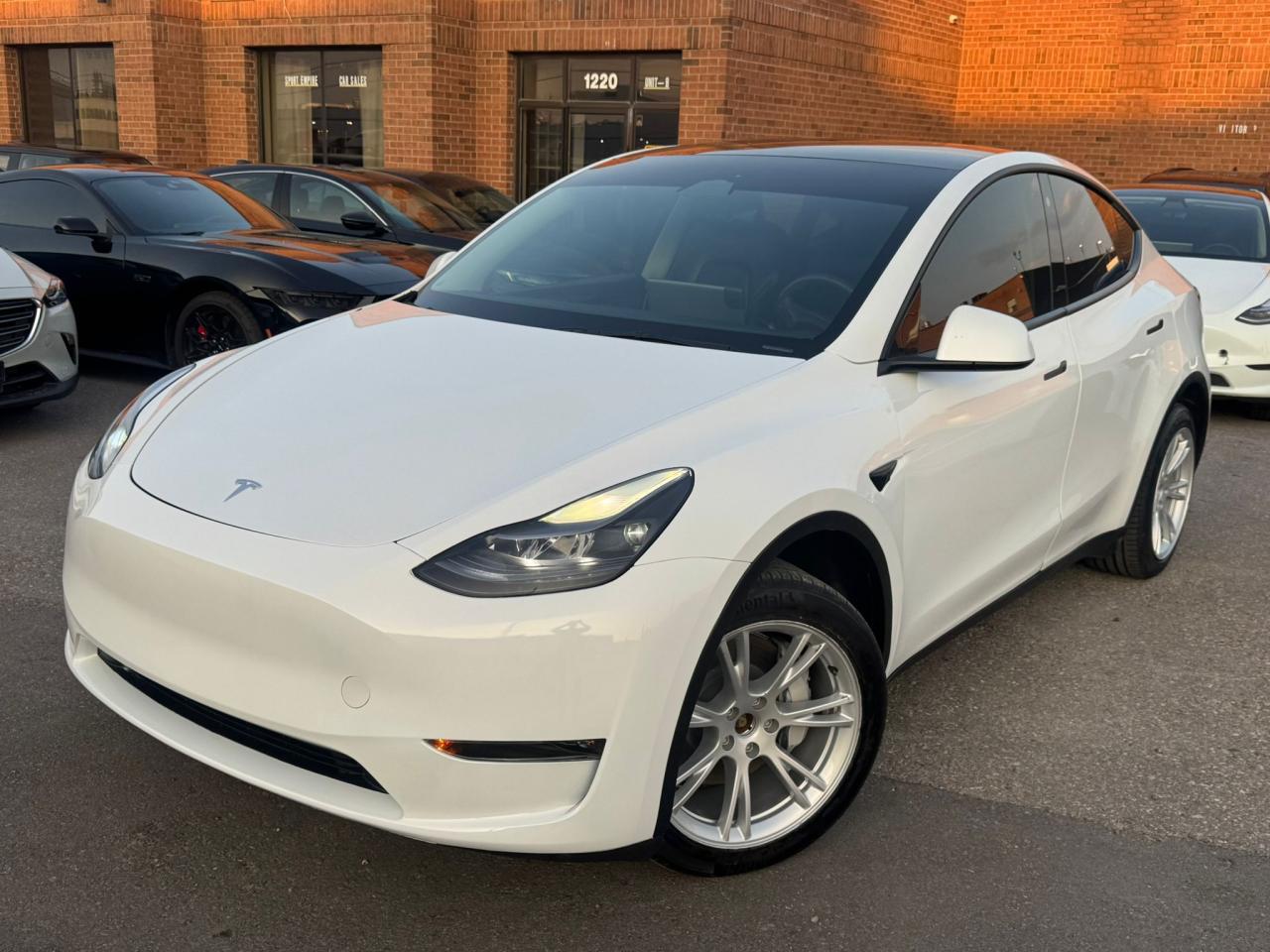 2023 Tesla Model Y 