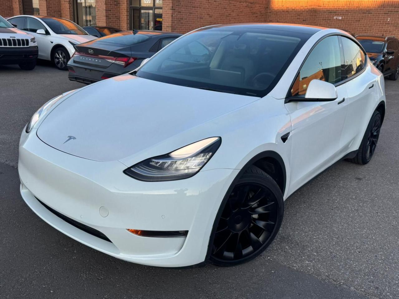 2022 Tesla Model Y 