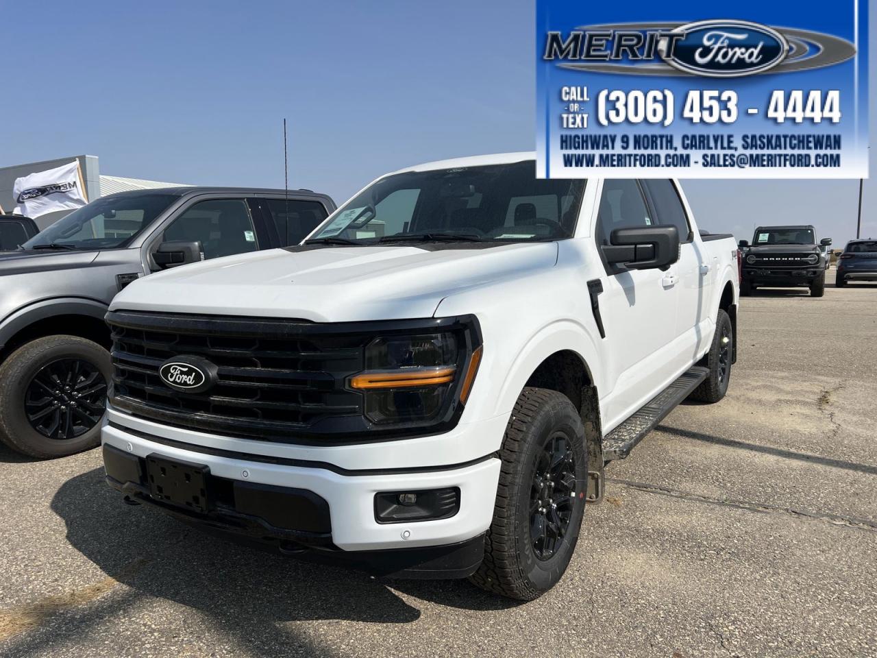 2025 Ford F-150 XLT - Sport, Black Appearance Pack Photo0