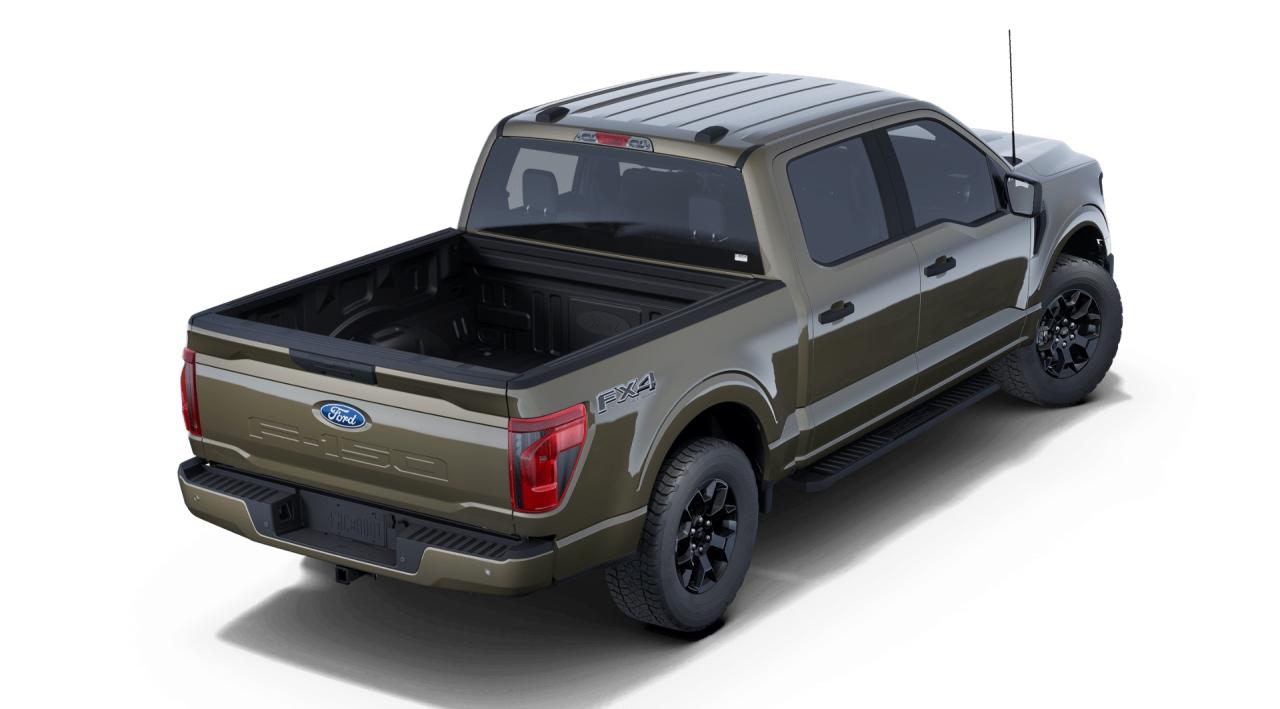 2025 Ford F-150 STX Photo2