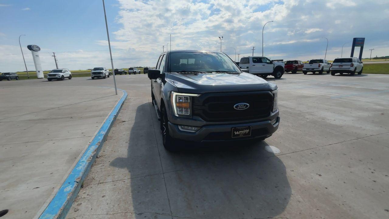 2023 Ford F-150 XLT 4WD SuperCrew 6.5' Box Photo2