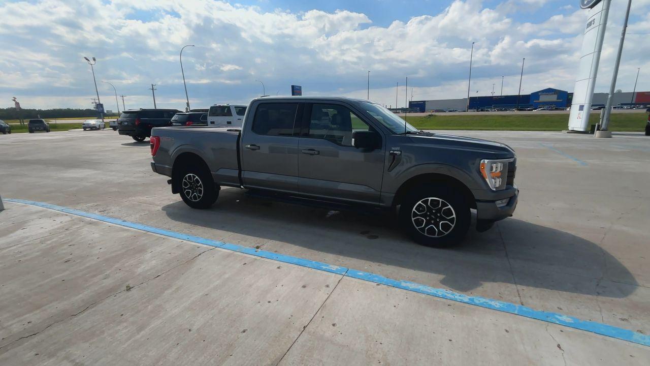 2023 Ford F-150 XLT 4WD SuperCrew 6.5' Box Photo1