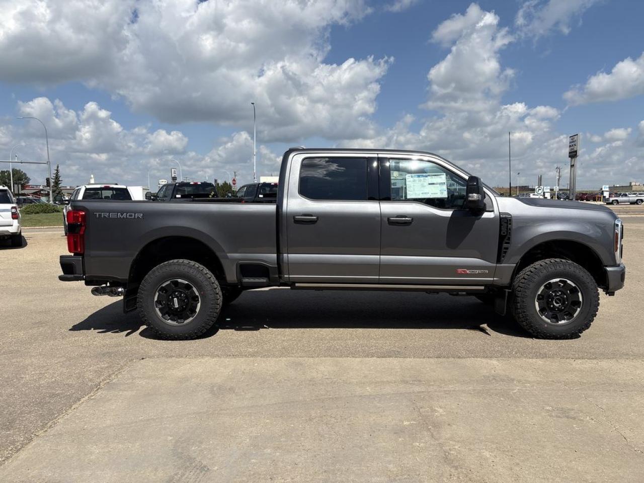 2025 Ford F-350 Super Duty SRW PLATINUM 6.8' Box 713A Photo5