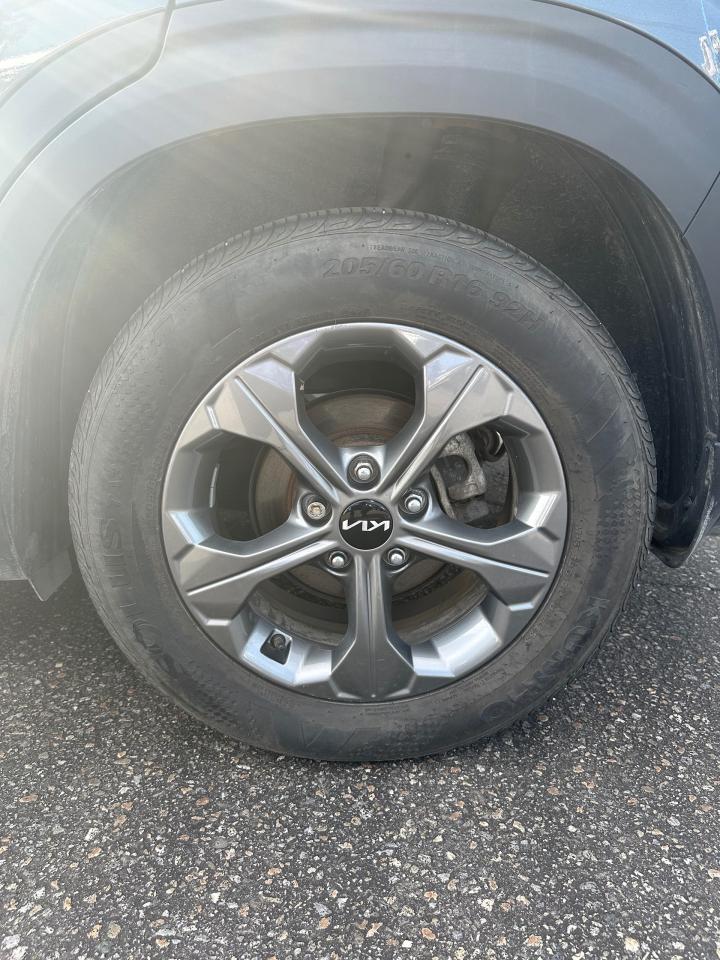 2023 Kia Seltos LX Photo5