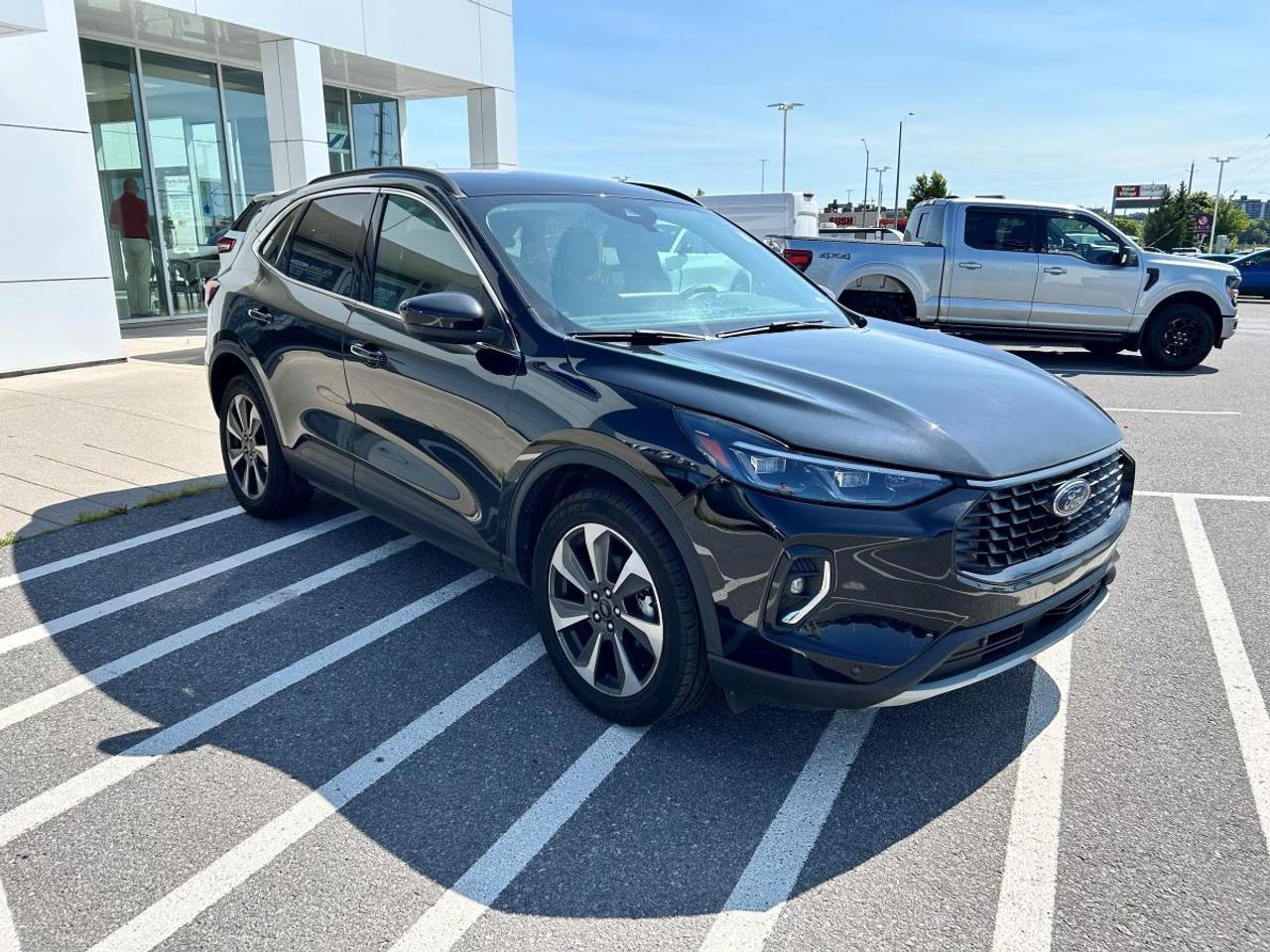 2023 Ford Escape Platinum Photo