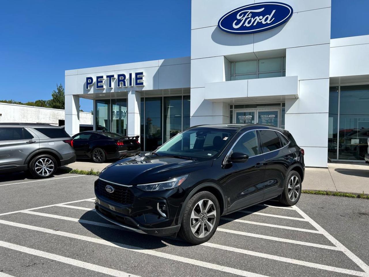 Used 2023 Ford Escape Platinum for sale in Kingston, ON