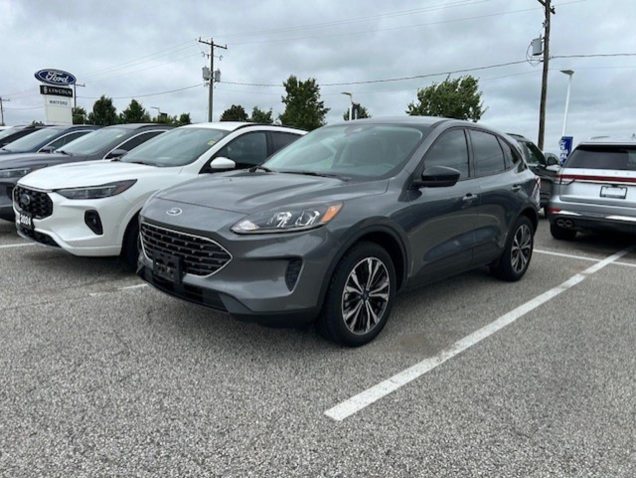 Used 2022 Ford Escape SE AWD for sale in Watford, ON