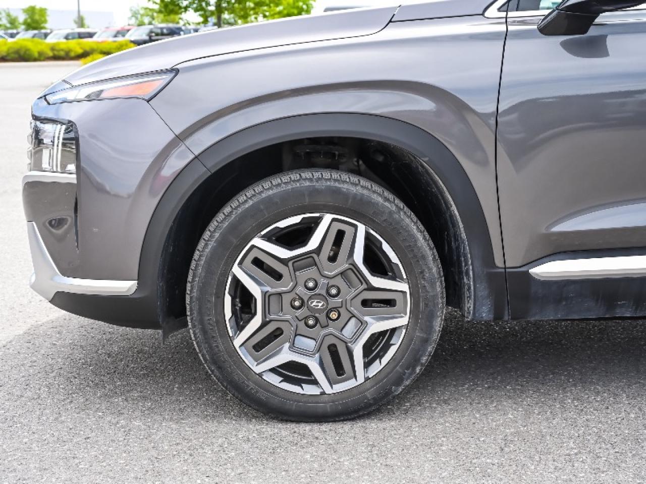 2022 Hyundai Santa Fe Hybrid Luxury Photo