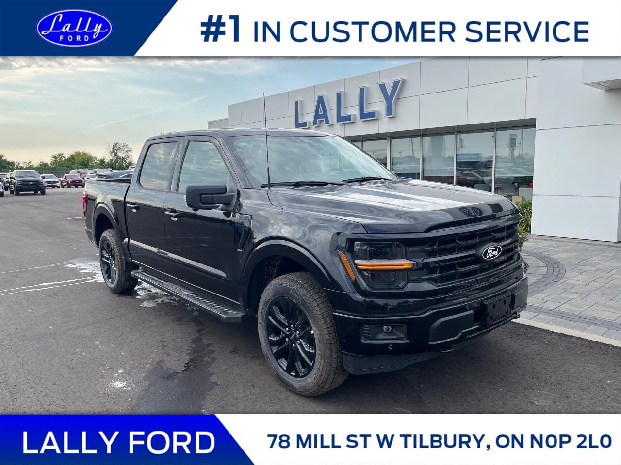 New 2025 Ford F-150 XLT for sale in Tilbury, ON