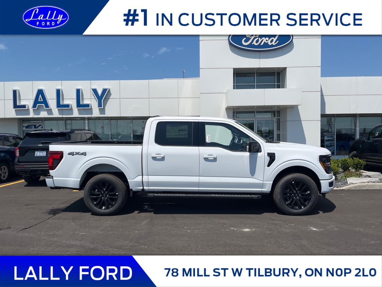 2025 Ford F-150 XLT Photo