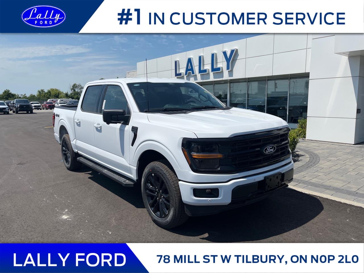 New 2025 Ford F-150 XLT for sale in Tilbury, ON
