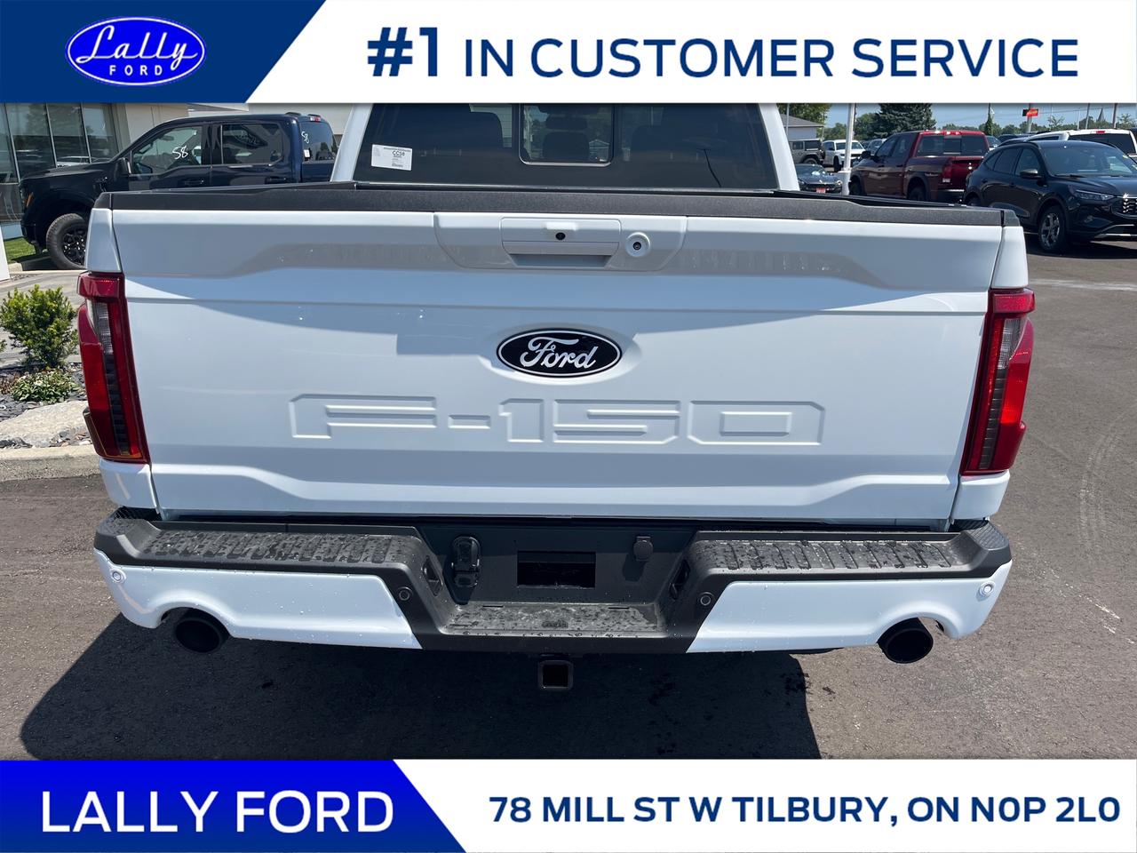 2025 Ford F-150 XLT Photo