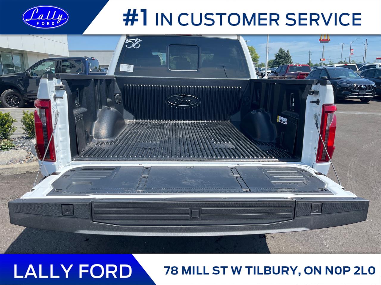 2025 Ford F-150 XLT Photo