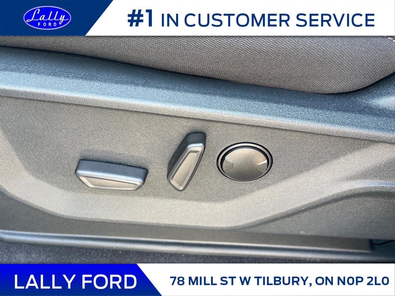 2025 Ford F-150 XLT Photo